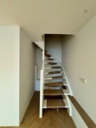 IMG_7361 Medium.jpeg